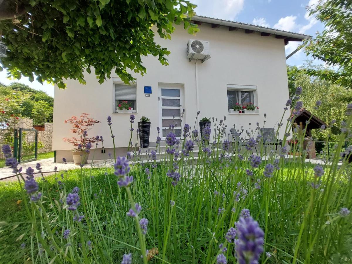 Studio Apartman Marta Korenica Dış mekan fotoğraf