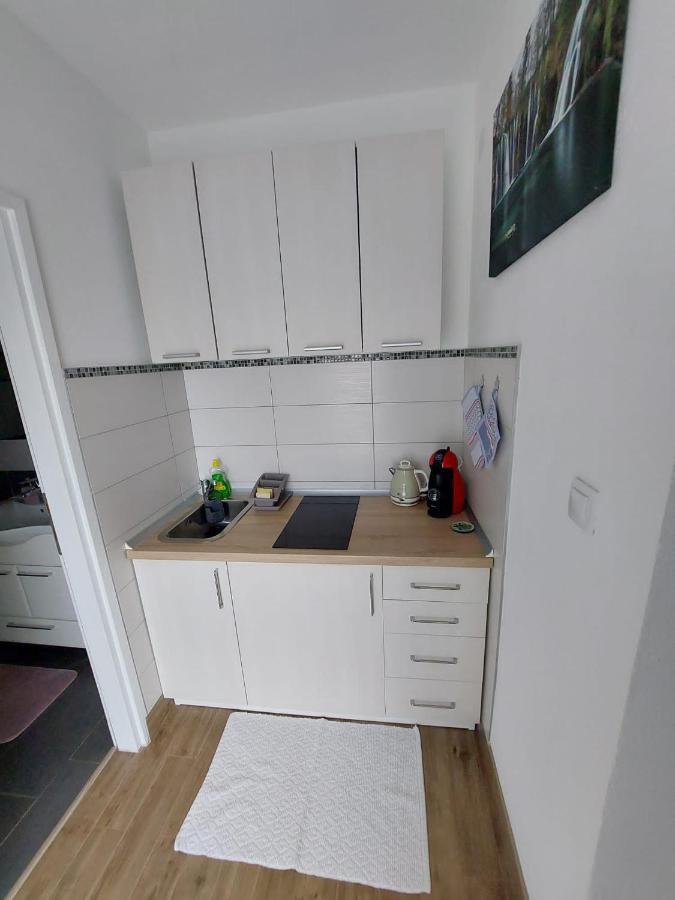 Studio Apartman Marta Korenica Dış mekan fotoğraf